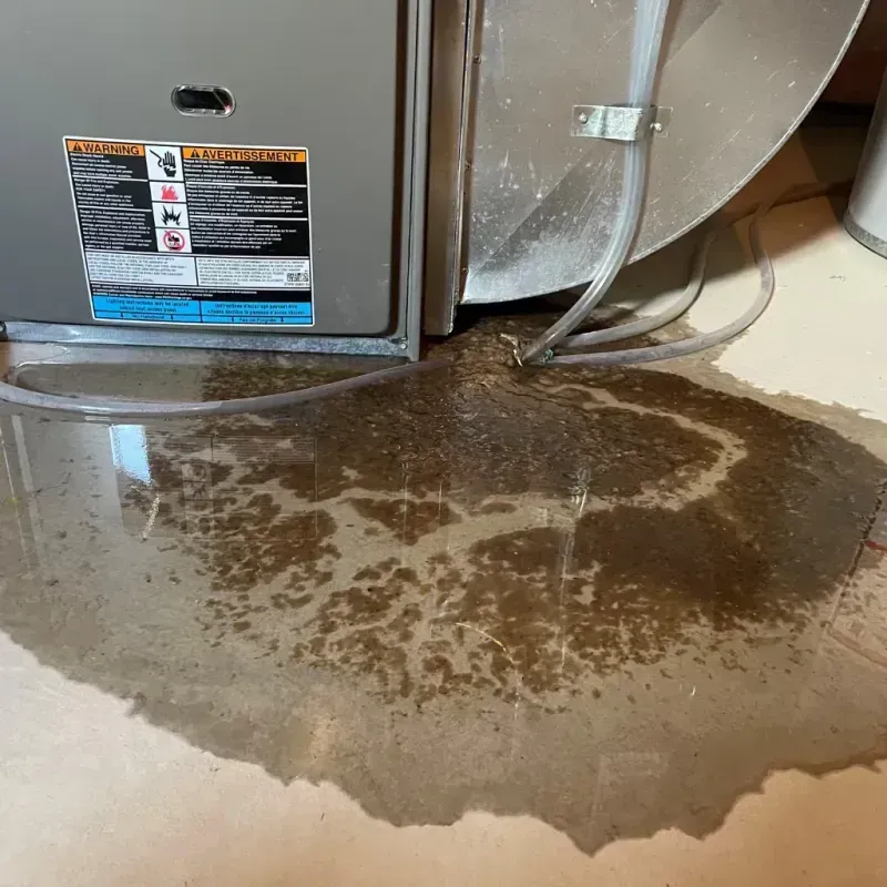 Appliance Leak Cleanup in Florida City, FL